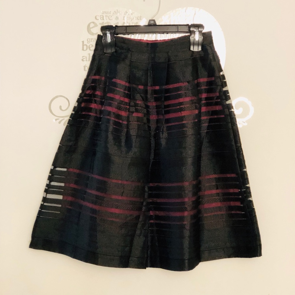 Sheer flare skirt
